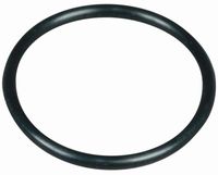 GUMICA O-RING TESNILNI (glavne gredi hidravlike) MF-MASSEY FERGUSON GUMICA O-RING TESNILNI (glavne gredi hidravlike) MF-MASSEY FERGUSON