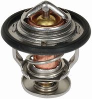 TERMOSTAT MOTORJA LANDINI