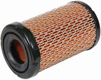 FILTER  ZRAKA motor B&S - BRIGGS&STRATTON  JD-JOHN DEERE X125        HUSQVARNA R216AWD    VIKING MT5097.1 C