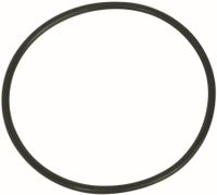 GUMICA O-RING FIAT GUMICA O-RING FIAT