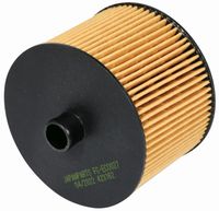 FILTER GORIVA vložek CITROEN FIAT FORD PEUGEOT FILTER GORIVA vložek CITROEN FIAT FORD PEUGEOT