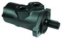 HIDROMOTOR  (TROSILEC)  OMP 250     SIP tip DANFOS