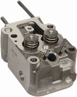 GLAVA MOTORJA kpl z ventili MWM motor: D226-3.2 D226-4.2 D226-4 TD226-4.2 TD226-B3 TD226-B4 TD226-B6 FENDT KHD DEUTZ-FAHR