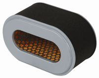 FILTER ZRAKA ovalen BUCHER (motor ROBIN-SUBARU EX 27) FILTER ZRAKA ovalen BUCHER (motor ROBIN-SUBARU EX 27)