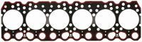 TESNILO GLAVE MOTORJA  (kos) (6cil)  STEYR 1090-1090a-1100-1100a-1108-1200-1200a motorji WD610t-WD610.40-WD610.42-WD610.43
