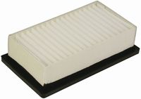 FILTER ZRAKA kabine CNH FIAT TM115-TM125-TM120-TM130-TM140-TM155-TM175-TM190-(TM120-TM130-TM140-TM155 >> SN218235)-(TM175-TM190 >>SN218235)-(TM175-TM1