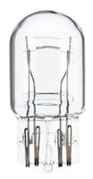 ŽARNICA  W16W 12V 16W W2.1x9.5d BOSCH ECO