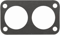 TESNILO TERMOSTATA (2 luknje) FIAT NEW HOLAND TESNILO TERMOSTATA (2 luknje) FIAT NEW HOLAND