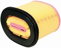 FILTER ZRAKA veliki - ovalen   MF-MASSEY FERGUSON   CATERPILLAR    DIECI     SCHMIDT