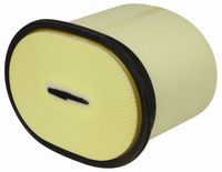 FILTER ZRAKA veliki - ovalen MF-MASSEY FERGUSON 5465 Dyna4, 6465 Dyna6 CATERPILLAR DIECI FILTER ZRAKA veliki - ovalen MF-MASSEY FERGUSON 5465 Dyna4, 6465 Dyna6 CATERPILLAR DIECI