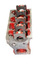 BLOK MOTORJA fi=95/103 (4cil) UTB 550DTC BLOK MOTORJA fi=95/103 (4cil) UTB 550DTC