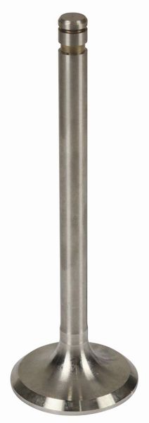 VENTIL MOTORJA  SESALNI TD-TORPEDO B700