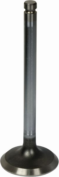 VENTIL SESALNI MOTORJA 45° motor PERKINS 1004-4T 1004-4T 1006-60TW MF-MASSEY FERGUSON 4255 4355 8210 VENTIL SESALNI MOTORJA 45° motor PERKINS 1004-4T 1004-4T 1006-60TW MF-MASSEY FERGUSON 4255 4355 8210