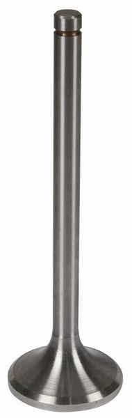 VENTIL SESALNI MOTORJA ojačan +1 STEYR 430-870a WD210.40-410.40-WD410t VENTIL SESALNI MOTORJA ojačan +1 STEYR 430-870a WD210.40-410.40-WD410t
