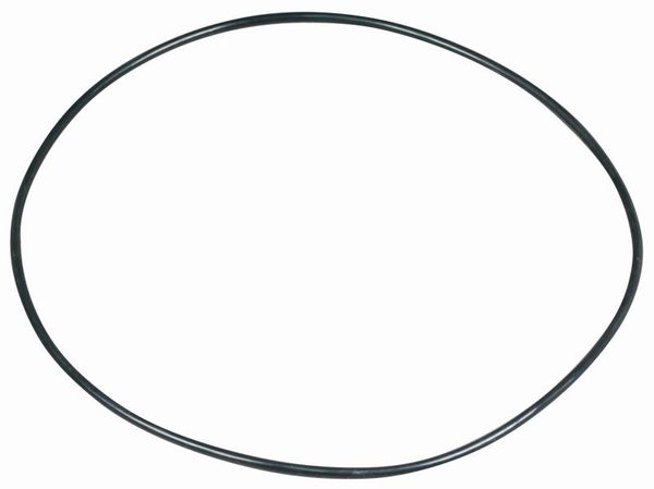 GUMICA O-RING MF - FIAT