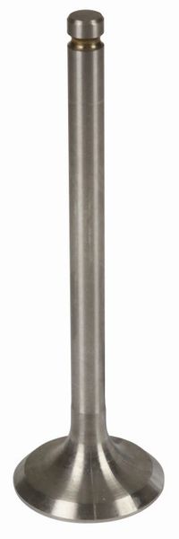 VENTIL MOTORJA SESALNI PERKINS 4.107 - 4.108 A4.107-A4.99 MF-MASSEY FERGUSON 25-122-130-825 VENTIL MOTORJA SESALNI PERKINS 4.107 - 4.108 A4.107-A4.99 MF-MASSEY FERGUSON 25-122-130-825